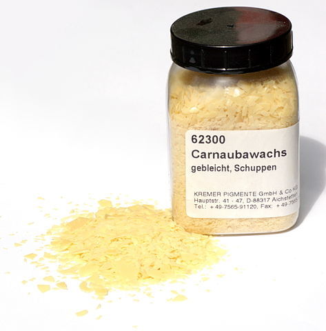 Is Carnauba Wax Bad For You Here Is Your Answer